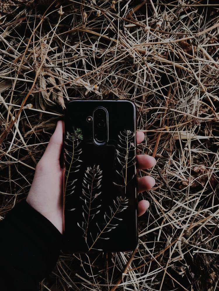 iPhone 17 Pro Max clear case