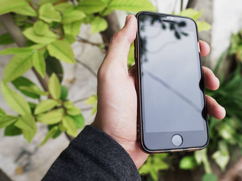 Google Pixel privacy screen protector